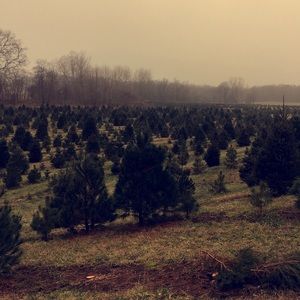 Meet your Posher, Ana